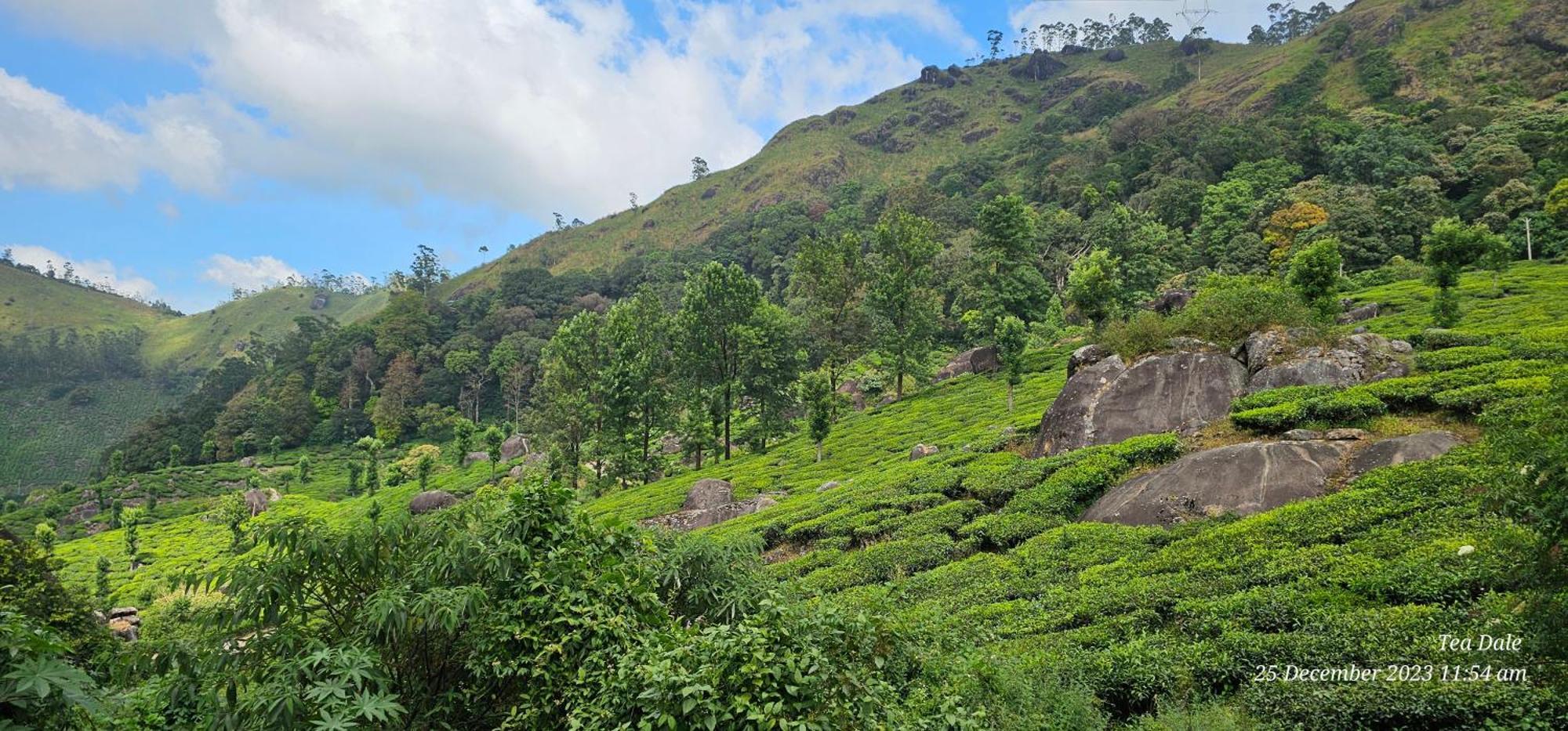 Tea Dale - All Rooms With Tea Estate View มุนนาร์ ภายนอก รูปภาพ