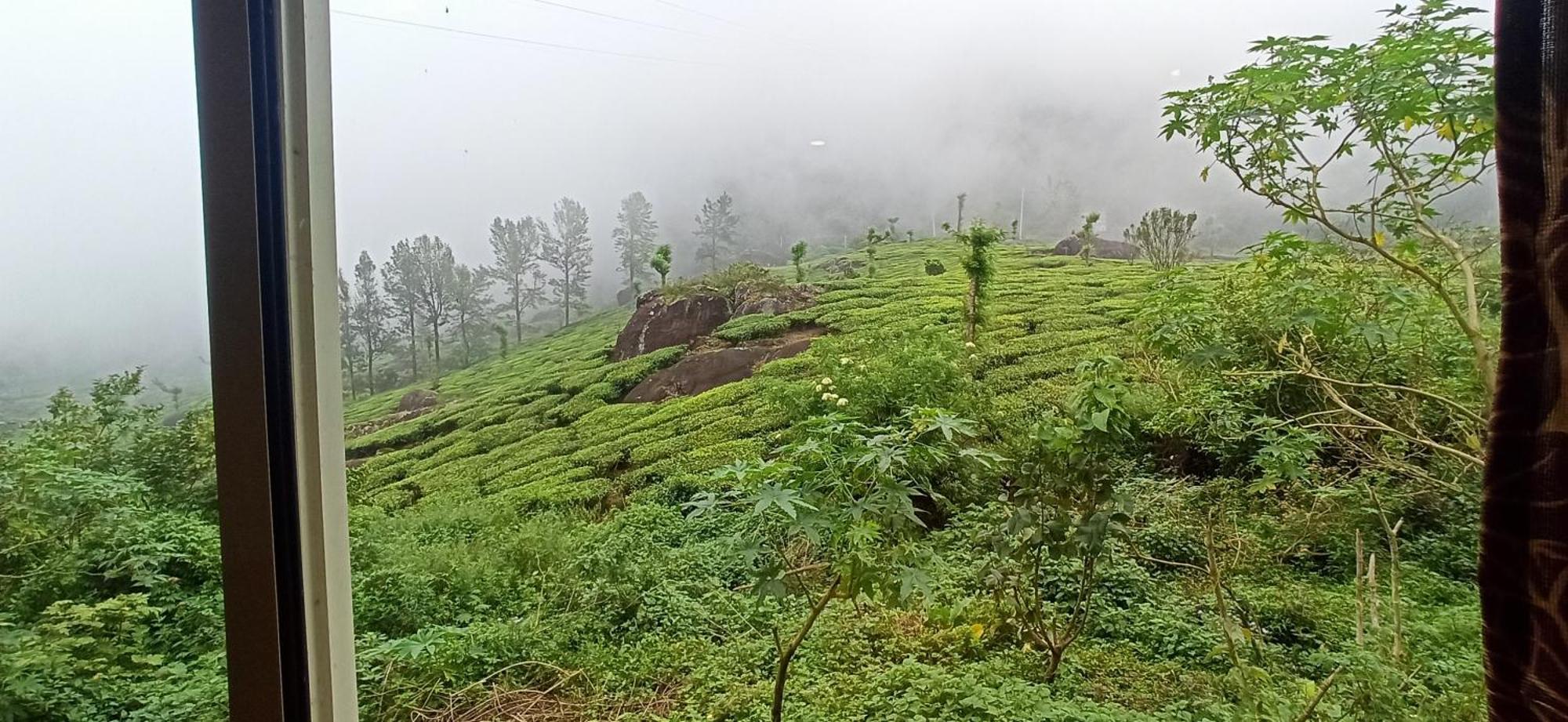Tea Dale - All Rooms With Tea Estate View มุนนาร์ ภายนอก รูปภาพ