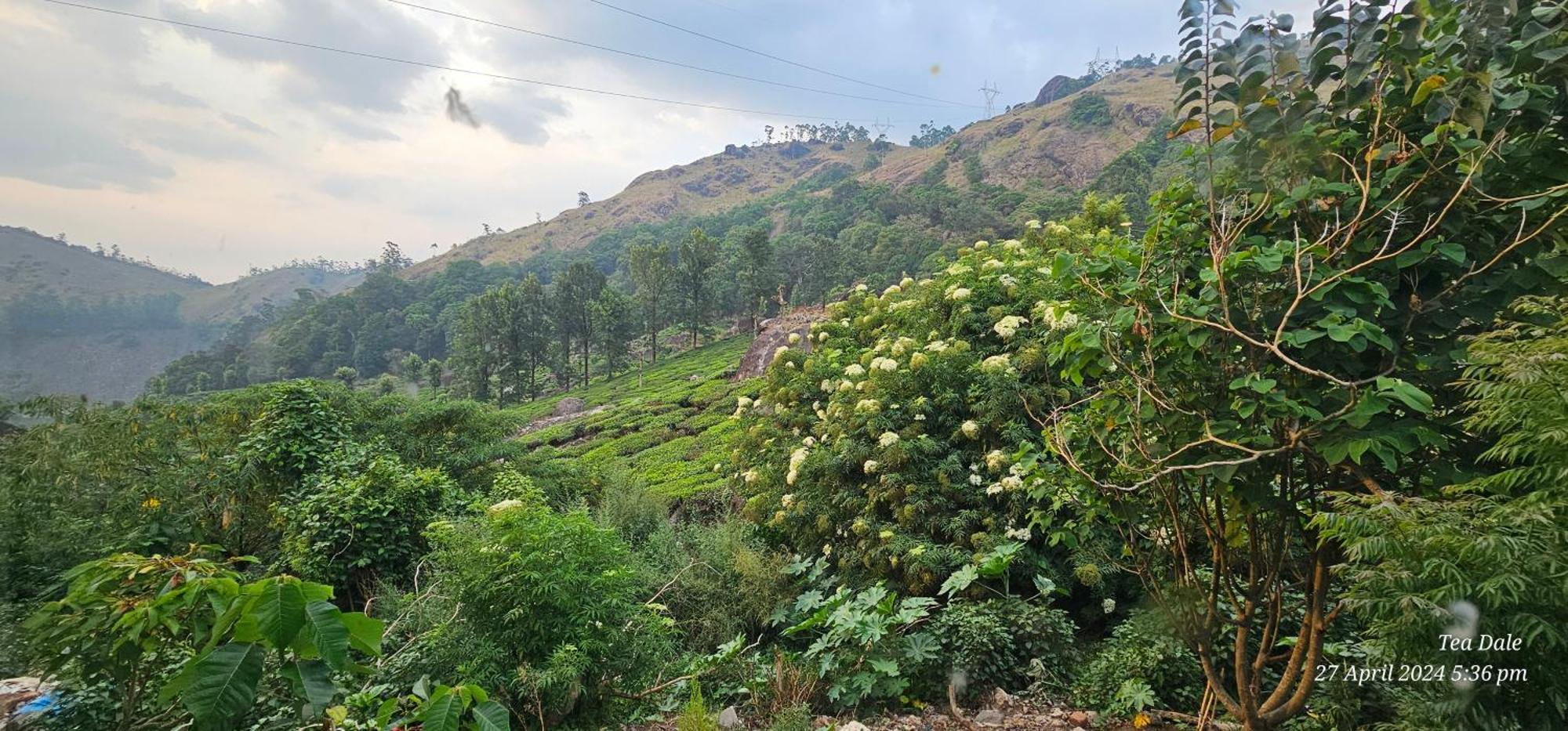 Tea Dale - All Rooms With Tea Estate View มุนนาร์ ภายนอก รูปภาพ