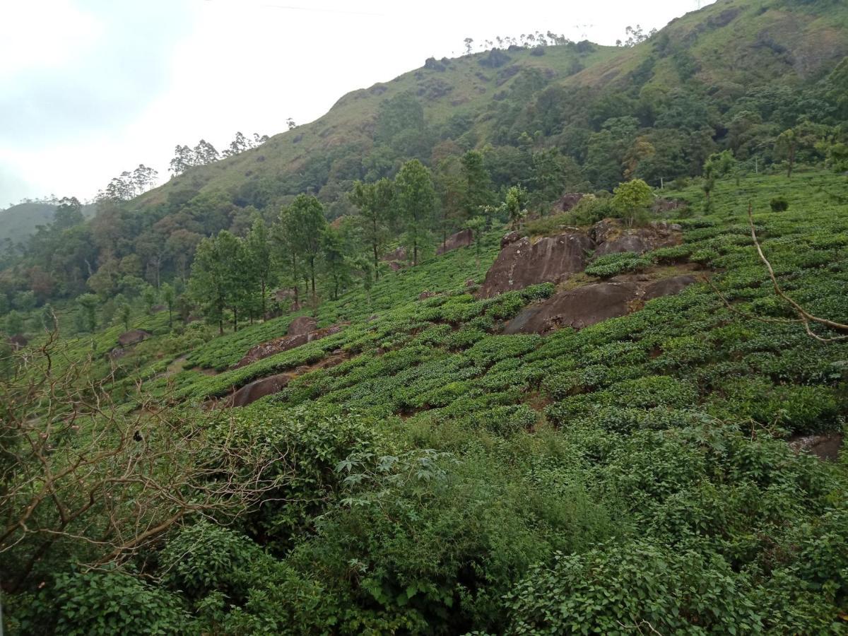 Tea Dale - All Rooms With Tea Estate View มุนนาร์ ภายนอก รูปภาพ