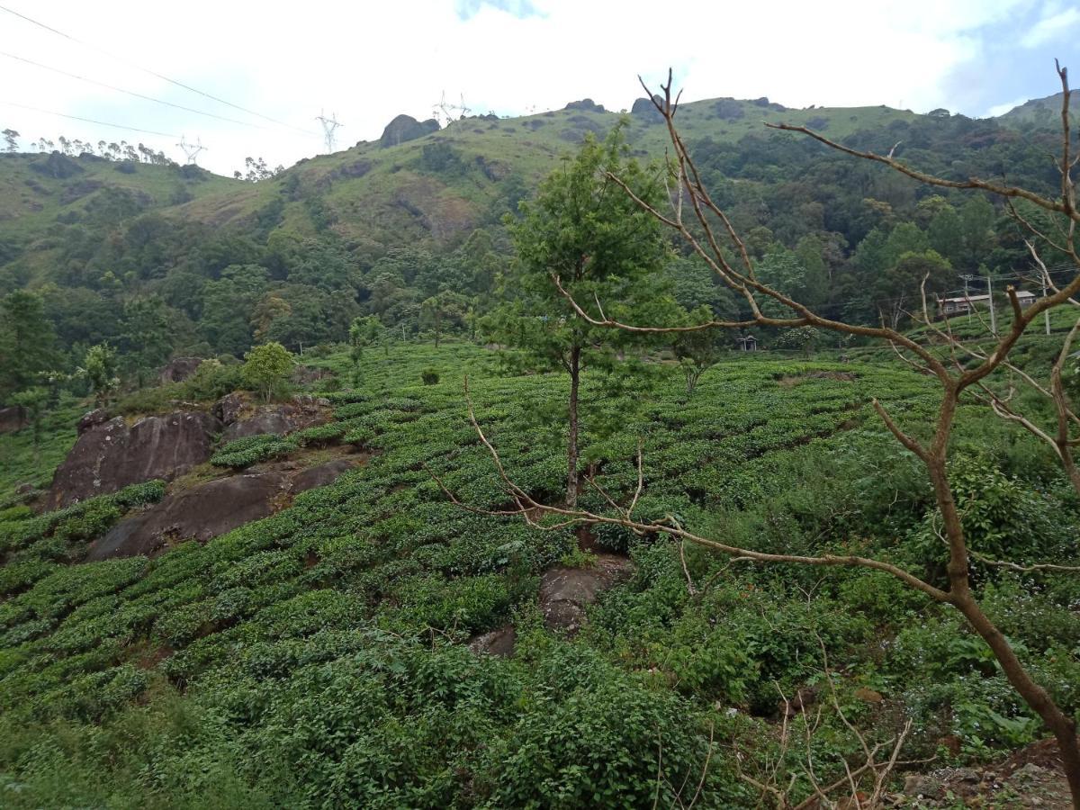 Tea Dale - All Rooms With Tea Estate View มุนนาร์ ภายนอก รูปภาพ